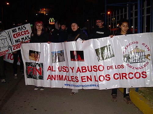 Circos Sin Animales!