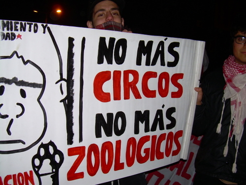 No mas circos con animales, no mas zoologicos!